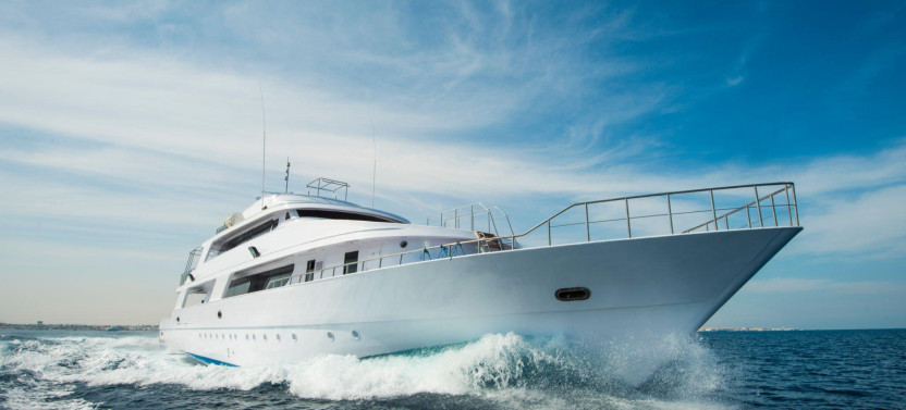 Dolphin House Sea Trip & Lunch W/Transfer - Hurghada