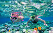 Your Trips Guide5