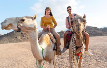 Your Trips Guide3