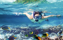 Your Trips Guide15