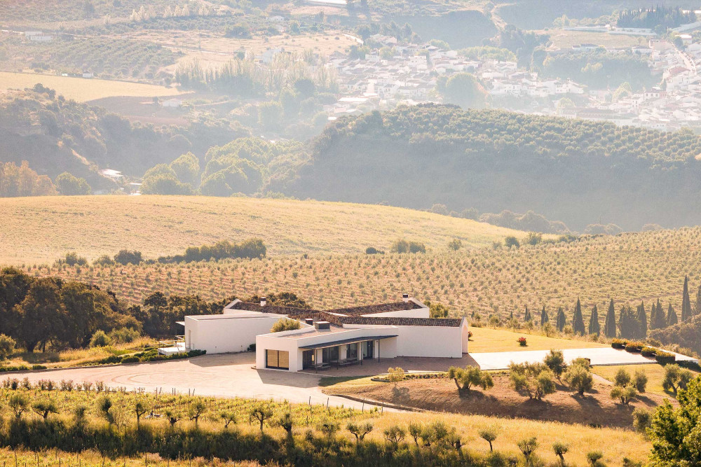 From Malaga: Ronda City Tour, Wine and Olive Oil Tasting