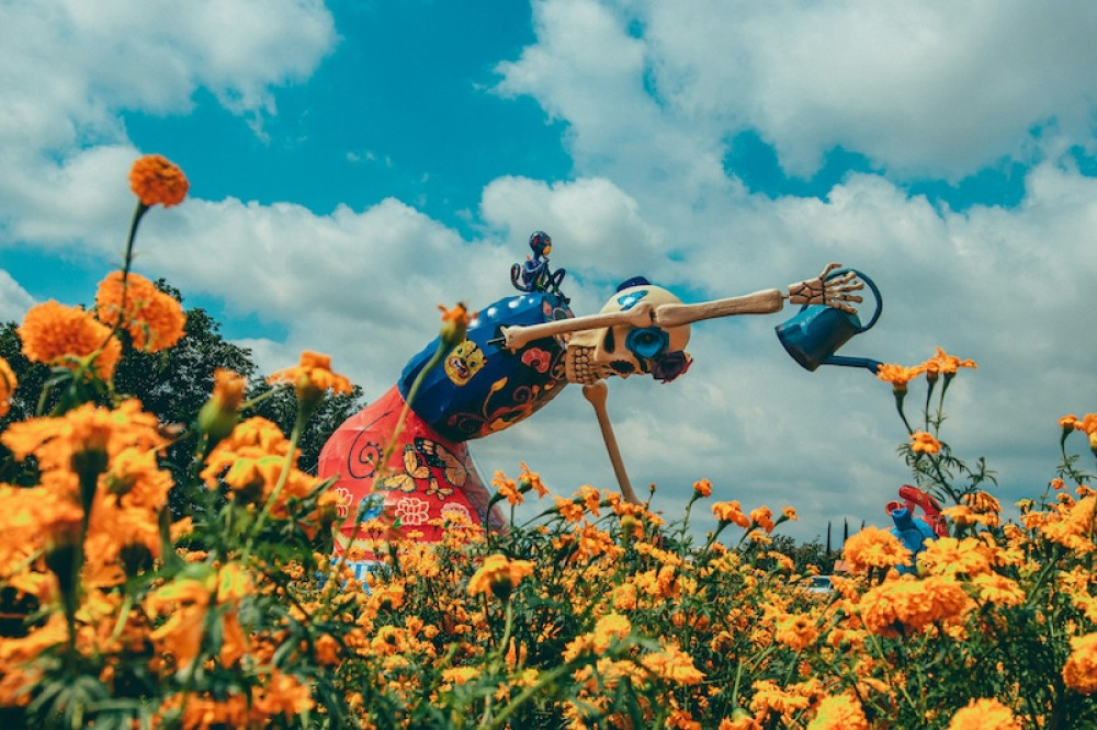 Dia De Los Muertos Tour: Cempasuchil Fields and Giant Skulls in Atlixco