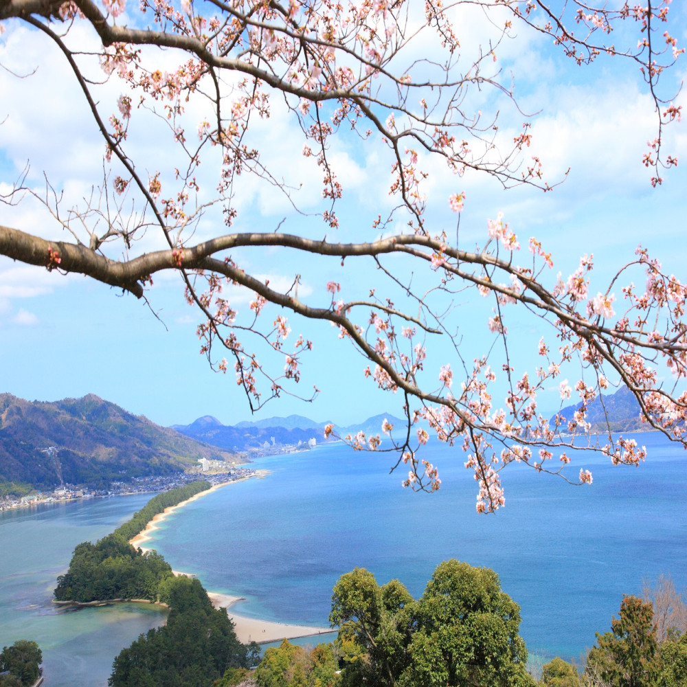 Kyoto: Amanohashidate, Ine No Funaya, Cable Car, Boating One-day Tour