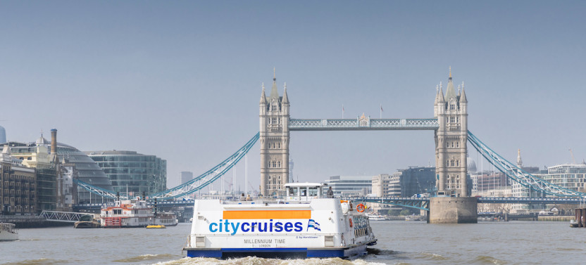 River Thames 24 Hour Hop On Hop Off Pass