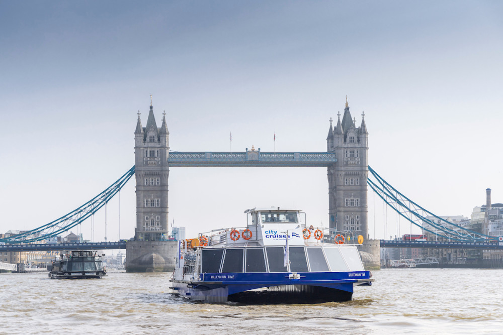 River Thames 24 Hour Hop On Hop Off Pass