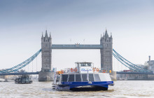 City Cruises1