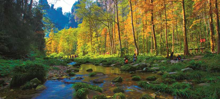 3 Days Zhangjiajie Private Highlight Tour