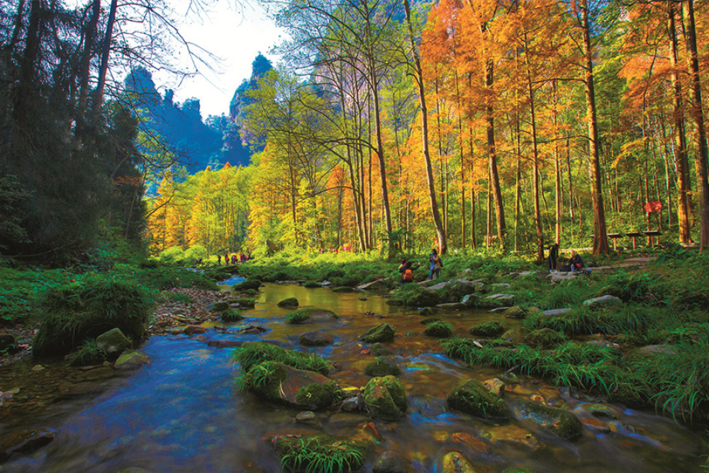 3 Days Zhangjiajie Private Highlight Tour
