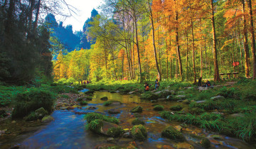 A picture of 3 Days Zhangjiajie Private Highlight Tour