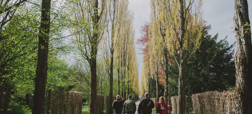 Private Norrebro Neighborhood Tour