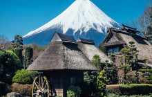 Tuyi Group Japan Co., Ltd.7