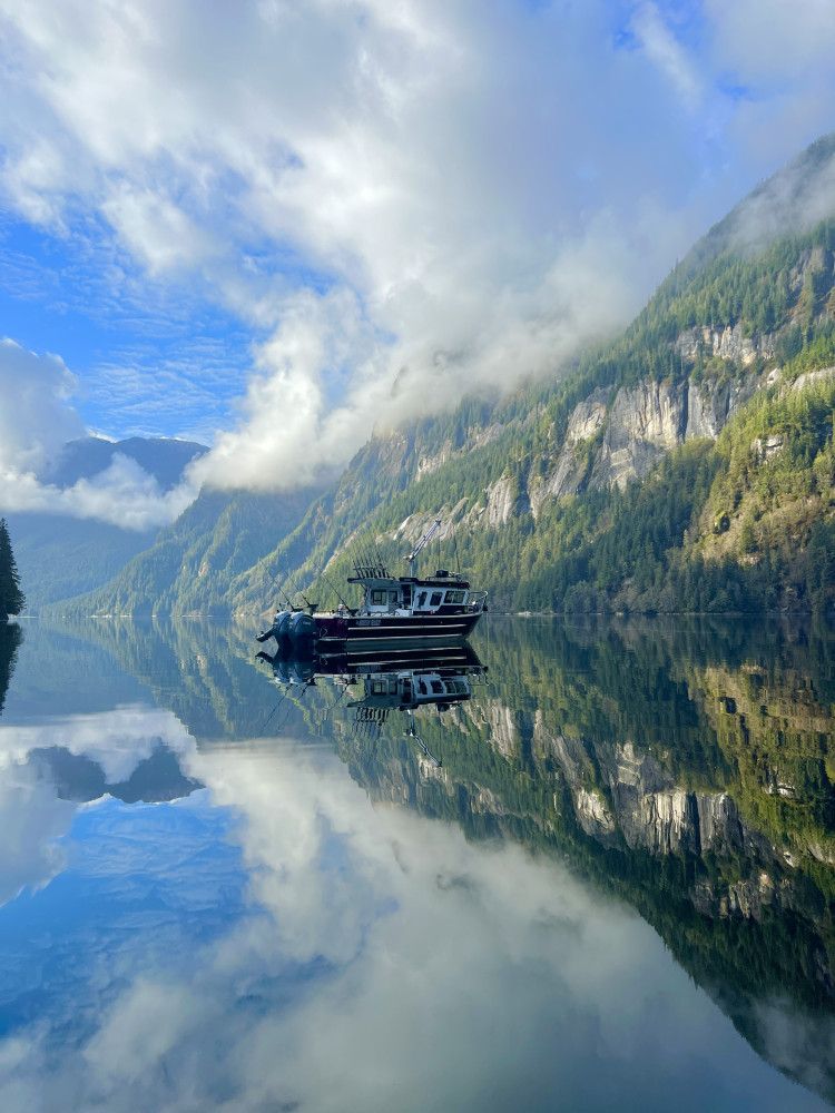 Ketchikan Alaska Private Misty Fjords & Wildlife Excursion