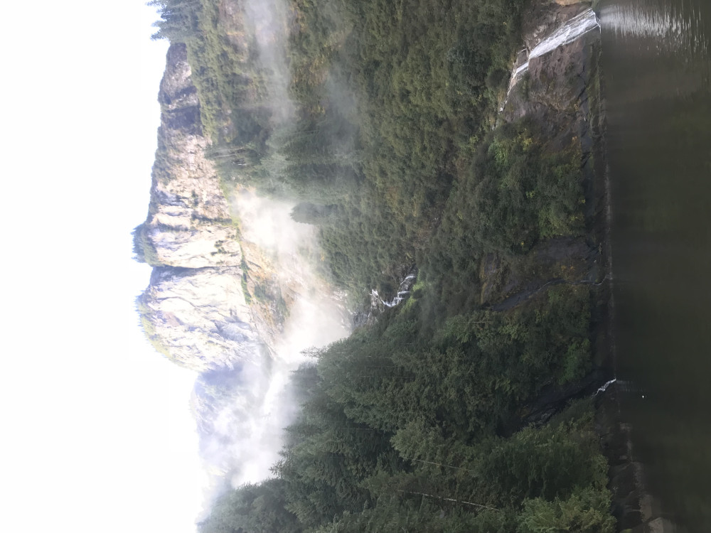 Reel Alaska Fishing Charters