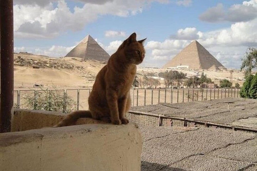 Private Day from Sharm to Cairo by Plane with Lunch and Guide