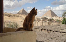 Hurghada Daily Tours3