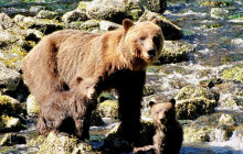 BEAR CREEK OUTFITTERS1