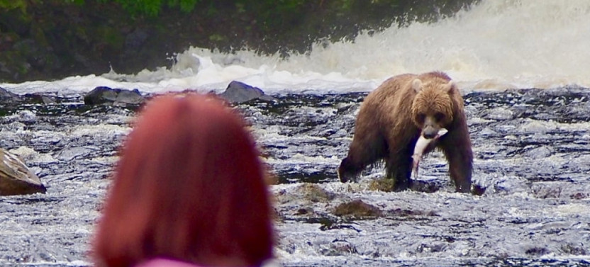 Private Waterfall Creek Bear Viewing
