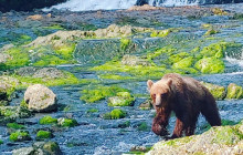 BEAR CREEK OUTFITTERS6
