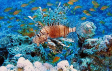 Hurghada Daily Tours4