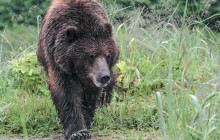 BEAR CREEK OUTFITTERS2