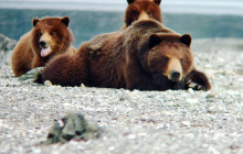 BEAR CREEK OUTFITTERS3