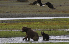 BEAR CREEK OUTFITTERS4