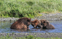 BEAR CREEK OUTFITTERS6