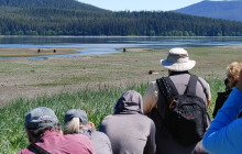 BEAR CREEK OUTFITTERS8