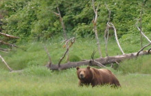 BEAR CREEK OUTFITTERS2