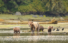 BEAR CREEK OUTFITTERS3