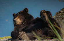 BEAR CREEK OUTFITTERS5