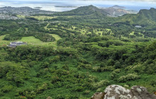 Go Tours Hawaii9