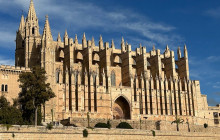 The Best Day Tours10