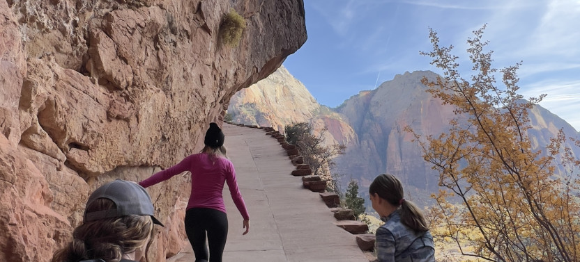 Zion National Park Half Day Tour