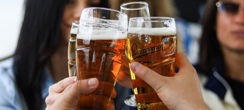 Danube Sightseeing Cruise With 1 Drink