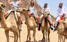 Your Trips Guide12