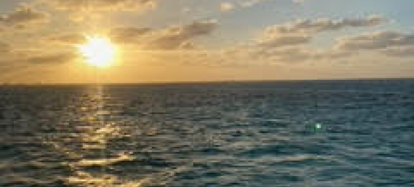 Stingray City: Catamaran Sunset Tour