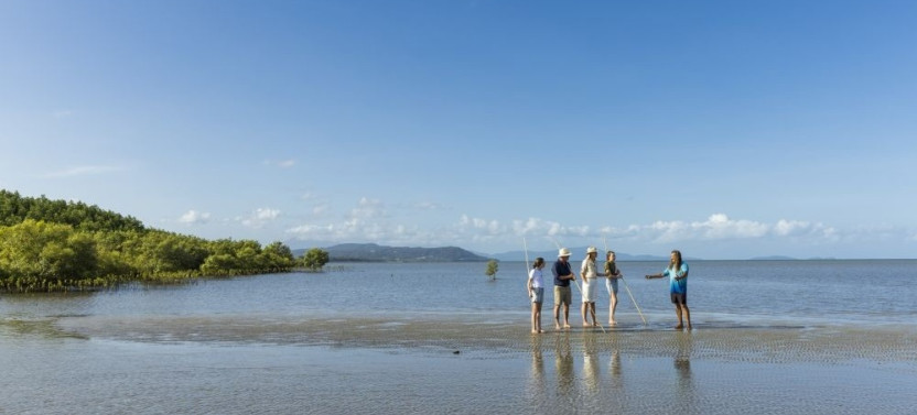 Daintree Dreaming - Small Group Aboriginal Adventure