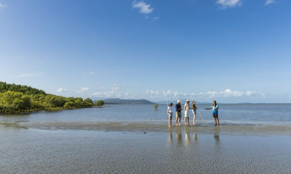 Daintree Dreaming - Small Group Aboriginal Adventure