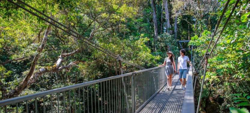 Daintree Dreaming - Small Group Aboriginal Adventure