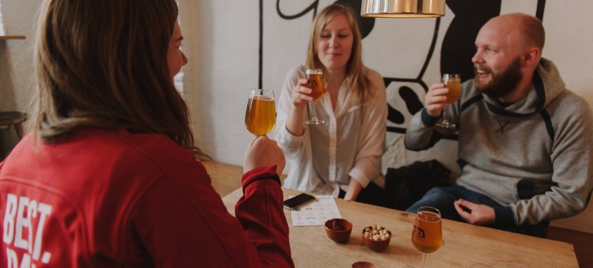 Private Copenhagen: Vice & Vesterbro Tour