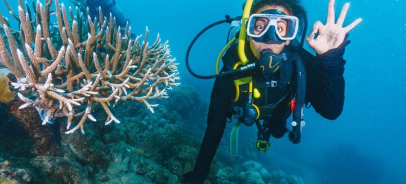 Intro Scuba Diving Full Day Boat Trip 2 Stops Diving & Lunch – Hurghada