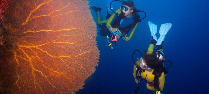 Intro Scuba Diving Full Day Boat Trip 2 Stops Diving & Lunch – Hurghada