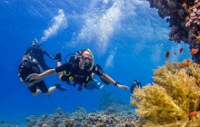 Your Trips Guide10