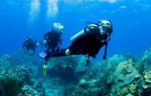 Your Trips Guide12