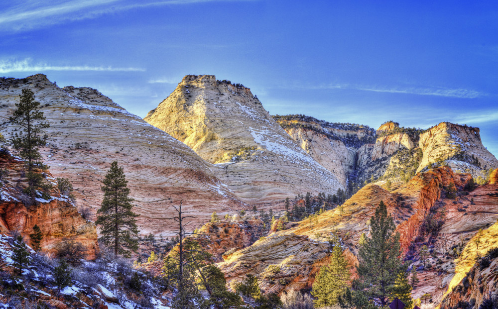Zion National Park Full Day Tour