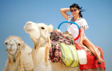Your Trips Guide2