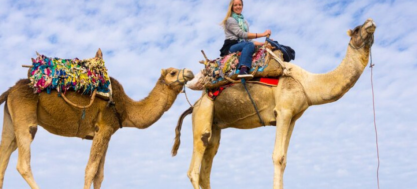 1 Hour Camel Ride in the Wonderful Desert of Hurghada