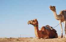 Your Trips Guide5
