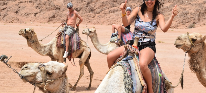 1 Hour Camel Ride in the Wonderful Desert of Hurghada